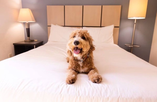 Family-Friendly Stay | Kitchens Near Freedom Trail & Quincy Market | 3 Units