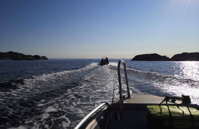 Fantastic fishing hut with sea view directly on the