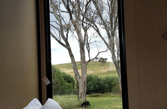 Farmer Armour Summary