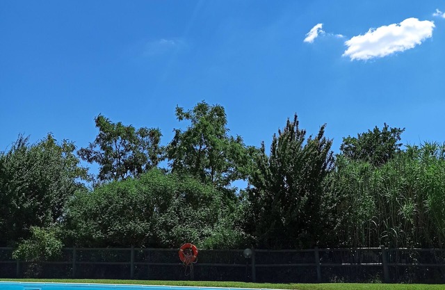 Farmhouse in the hills of Siena, exclusive use with pool, large garden, A/C, 8p