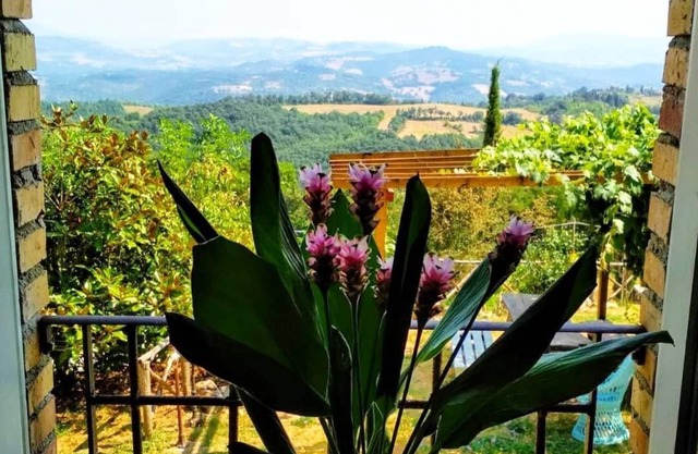 FARMHOUSE MONTESALCE-YELLOW APARTMENT