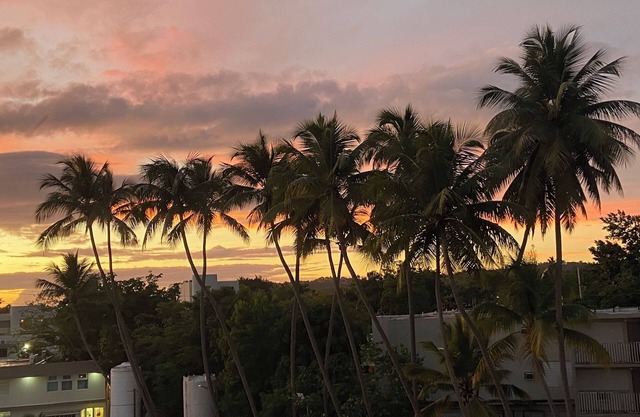 Feet away from famous Villa Cofresi Hotel, Tiki Bar, Restaurants, Water-sports.