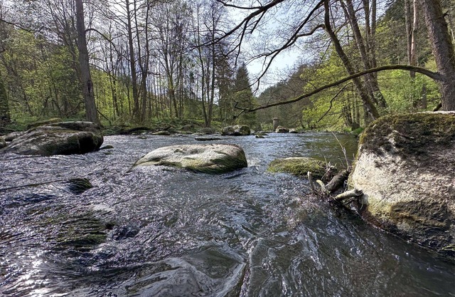 Feriendorf Seeblick - Premium Tiny-Chalet mit Sauna und Hottub