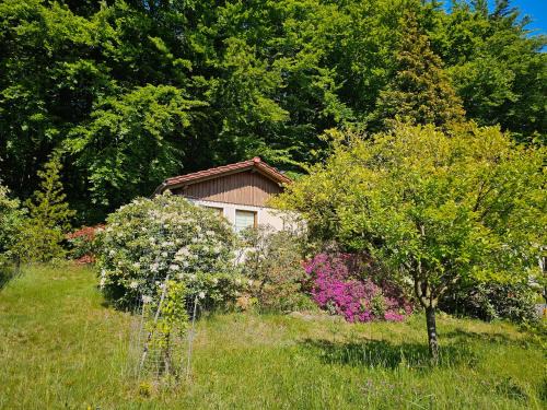 Ferienhaus am Wald mit Südblick