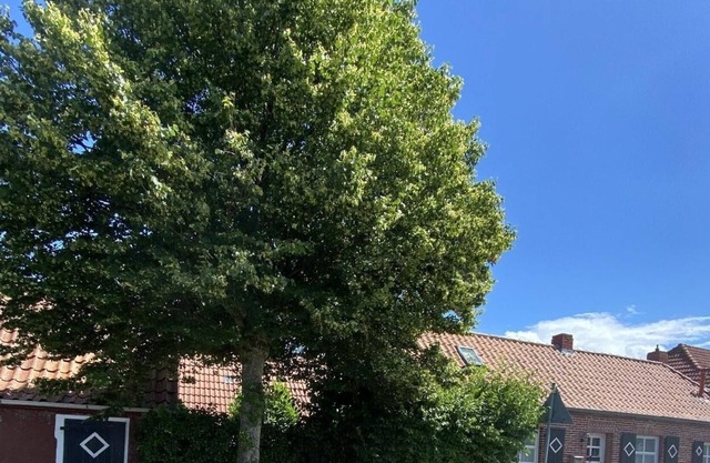 Ferienhaus für 4 Gäste mit 60m² in Krummhörn-rysum