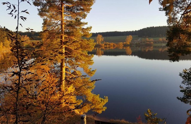 Ferienwohnung am Kirnbergsee