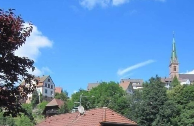 Ferienwohnung/app. für 4 Gäste mit 62m² in Forbach