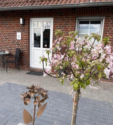 Ferienwohnung Kleine Auszeit
