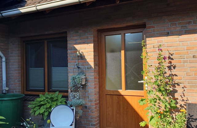 Ferienwohnung Picidae 55172 - Ferienwohnung Picidae