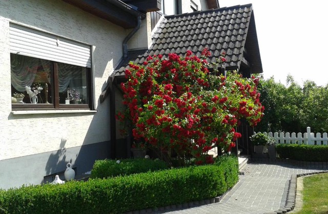 Ferienwohnung Schmetterling
