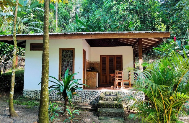 FINCA ARDILLA, ecolodge with swimming pool, for nature lovers.