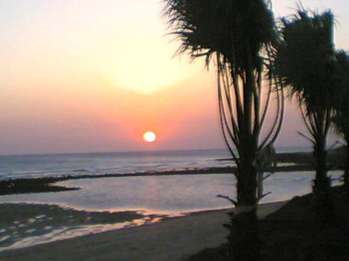 Finca Malyma with 2 villas and 1 apartment, beach front 10,000m2 botanic garden