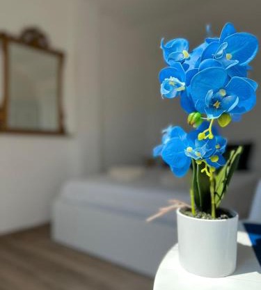 Fior di Loto Suite - Lingotto