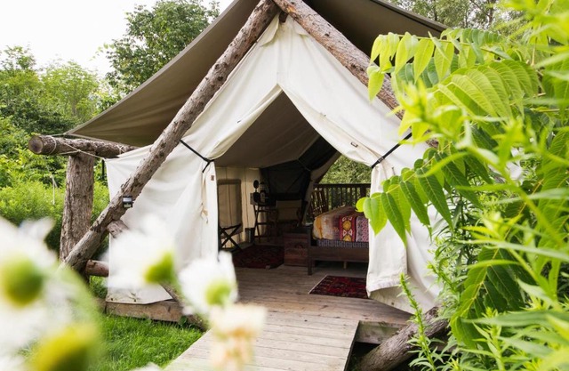 Firelight Camps