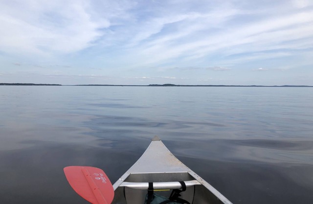 Fish Camp on Shamrock Cove (Toledo Bend) Milam, TX