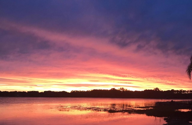 Five Star Rating Lake/WaterFront Oasis Near Tampa/Orlando & Gulf Beaches