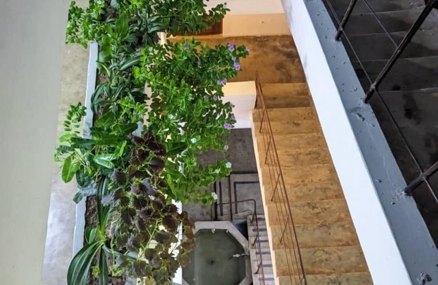 Flamingo Guest House