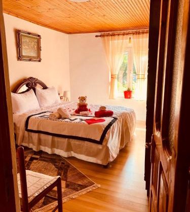 Flat in Leskovik