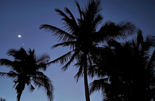 FLORIDA BEACH HOUSE RIGHT ON THE OCEAN - Spring and Summer discounts now!