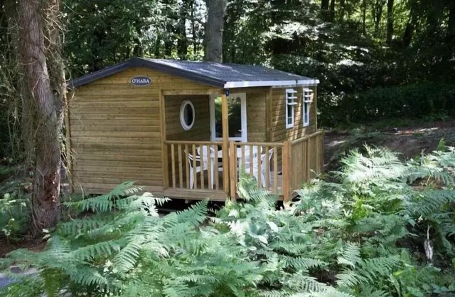 Flower Camping La Chênaie * - Mobile home Standard Wood 31m2 3 bedrooms + semi-covered terrace 18m2 + TV 6 persons