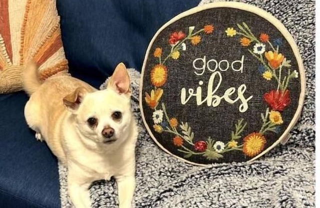 FORD IDAHO CENTER HAPPY PLACE