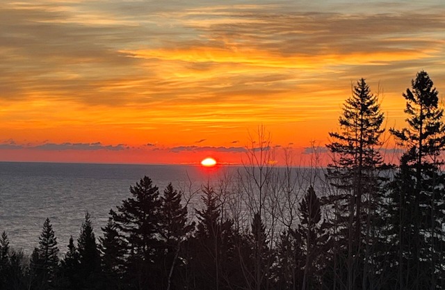 Forest Bathing. Lake Superior Views. Charming 1 bedroom apartment/suite.