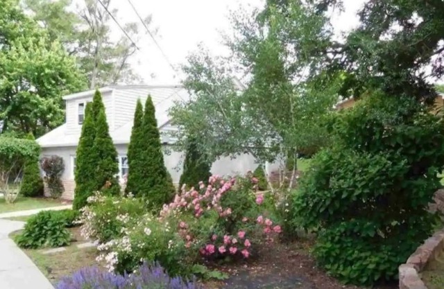Forest Cottage Peaceful Acreage