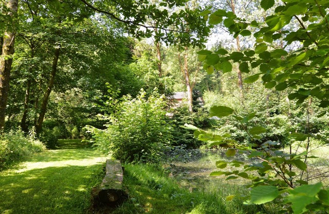 Forest Cottage With Ponds