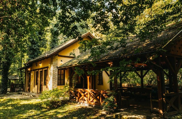 Forest House