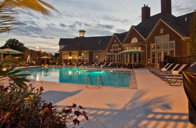 Forest View 2BR | Fast WiFi | W/D | Pool | Gym!