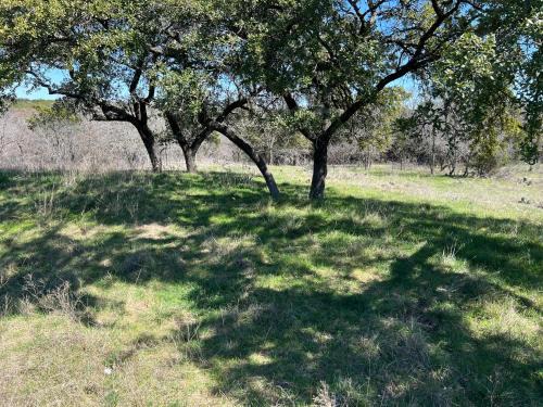 Fossil Trace Ranch