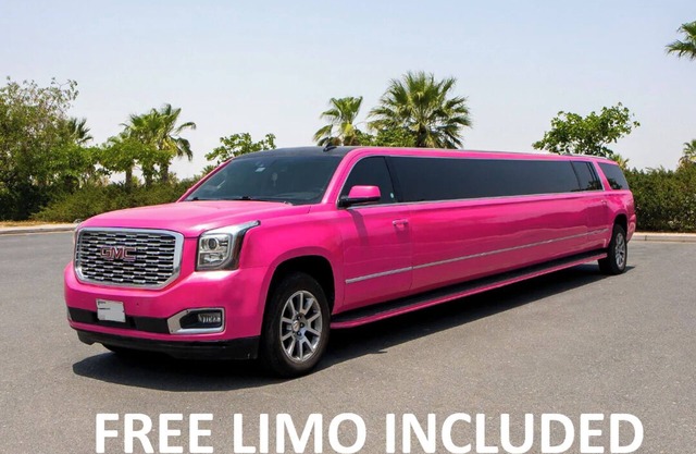 FREE LIMO, 2 ACRES Ranch 6 Rooms 4bath Sleeps 26
