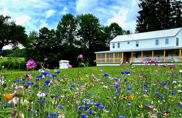 FRENCH WOODS FARMHOUSE | TimeOut NY's Pick in Hancock