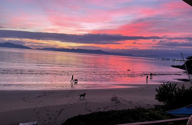 Fri Richmond Beach, birds and views