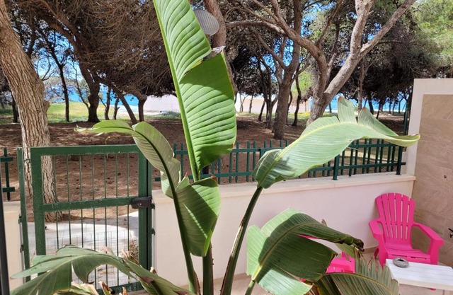 FRONTE PINETA MARE RIVABELLA
