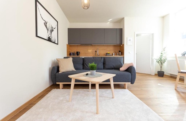 FullHouse - Zwickau - F45 Apartments - SmartTV - Nespresso
