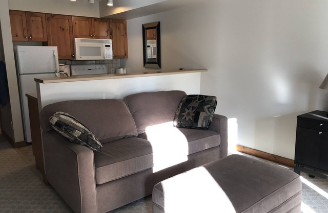 Fully Equipped Creekside Studio with Outdoor Shared Hot Tub and Pet Friendly!