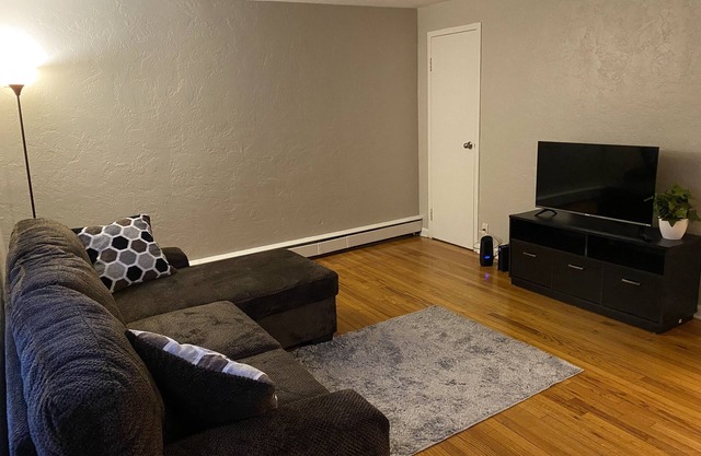 Fully Furnished 2 beds 1 bad Apt Near to Hospital