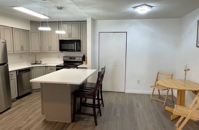 Furnished Condo for a month or more