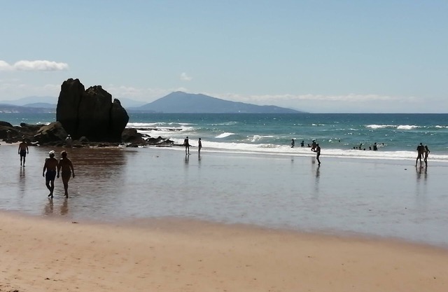 Furnished studio guéthary (Basque coast) 30m2 town center and beaches on foot