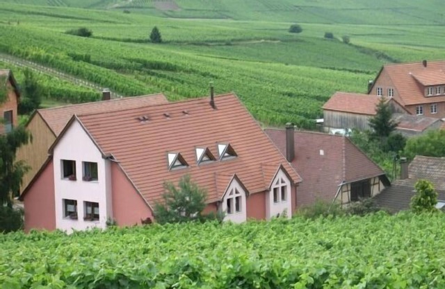 Gîte Chez Le Vigneron for 4 people