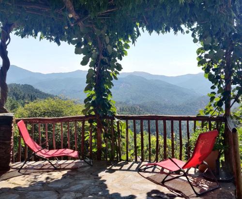 Gîte du Petit Sourel et sa vue panoramique