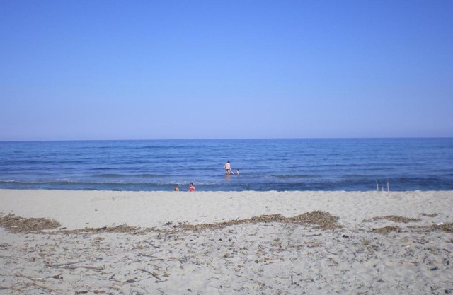 gîtes de corse