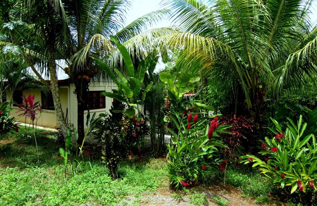 Garden Cabina/Bungalow next to Nauyaka WaterFalls