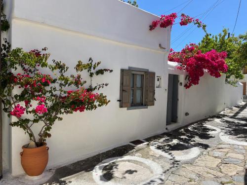 Garden Village House in Pythagorio-Hora, Samos Island