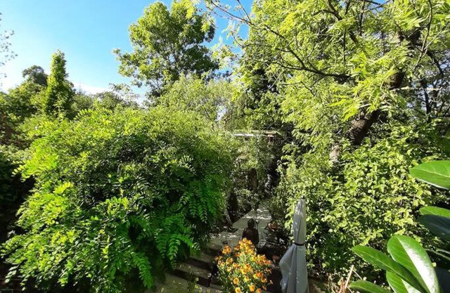 Gartenwohnung