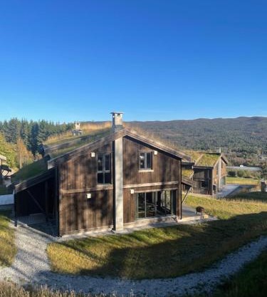 Geilo - Ny og flott hytte på budalstølen