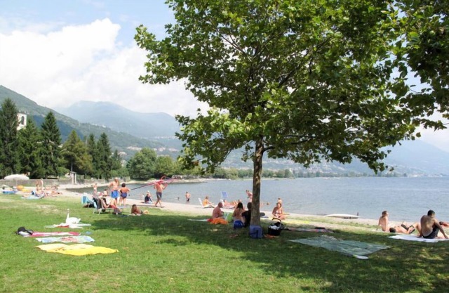 Gelsomino by Interhome