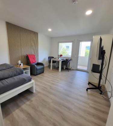 Gemütliche Einzimmerwohnung