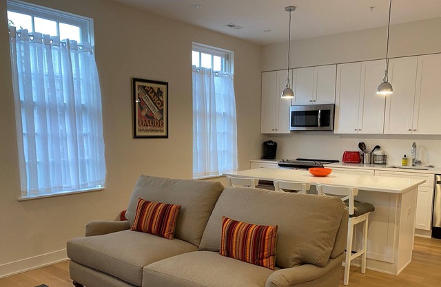 Georgetown, New Boutique Apt in Historic Bldg, 1BR 1BA